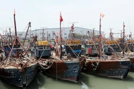 Tàu cá Trung Quốc neo tại cảng Manseok, Incheon sau khi bị Hàn Quốc bắt giữ vì hoạt động trái phép. (Ảnh: Yonhap/TTXVN)