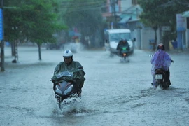 (Ảnh minh họa: Minh Đức/TTXVN)
