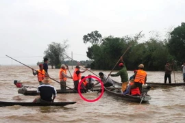 (Ảnh minh họa: Hoàng An/TTXVN phát)