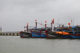 Tàu thuyền ngư dân neo đậu tránh áp thấp nhiệt đới tại khu neo đậu tau thuyền Phú Hải, huyện Phú Vang. (Ảnh: Hồ Cầu/TTXVN)