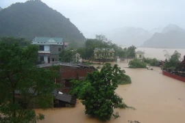 Ảnh minh họa. (Nguồn: Vietnam+)
