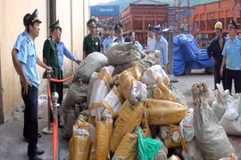 Bắt một vụ nhập lậu ngà voi ở TP.HCM. (Ảnh: Xuân Nguyên/TTXVN)