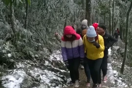 Tuyết rơi phủ kín Ba Vì, kiểm lâm tăng cường ứng trực