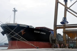 Tàu Ocean Domina bốc rót 25.000 tấn ngô. (Ảnh: Vũ Văn Đức/TTXVN)