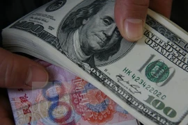 Ảnh minh họa. (Nguồn: THX/TTXVN)