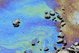 Dầu tràn trên vịnh Genoa, miền Tây Bắc Italy. (Ảnh: ANSA)