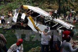 Ảnh minh họa. (Nguồn: AFP/TTXVN)