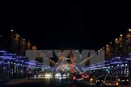 Đại lộ Champs Elysees ở thủ đô Paris của Pháp. (Ảnh: AFP/TTXVN)