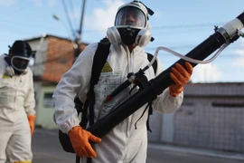 Phun thuốc diệt muỗi để ngăn ngừa virus Zika. (Nguồn: Getty Images) 