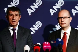 Người giàu thứ hai Séc từ chối tập trung vào chính trị