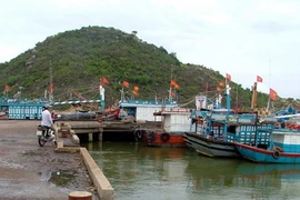 WB tài trợ 47 tỷ đồng nâng cấp mở rộng cảng cá ở Bình Định