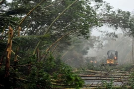 Siêu bão Rammasun đổ bộ vào Trung Quốc, 1 người thiệt mạng