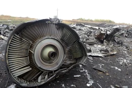 Malaysia: Kiev không thể đảm bảo việc tiếp cận hiện trường MH17