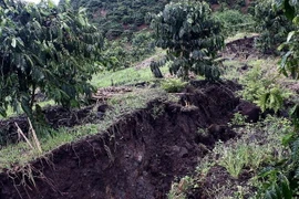 [Photo] Lại tái diễn trượt lở đất nghiêm trọng tại Di Linh