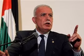 Palestine đề nghị điều tra Israel về tội ác chiến tranh tại Gaza