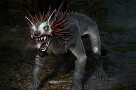 Sự thật về sinh vật hút máu trong truyền thuyết ở Texas