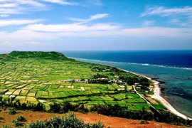 Quảng Ngãi - điểm đến hấp dẫn với nhiều bãi biển sạch đẹp