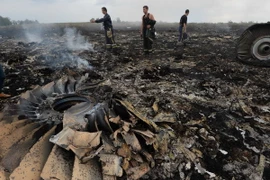 Malaysia tái điều tra vụ MH17 nếu lệnh ngừng bắn có hiệu lực 