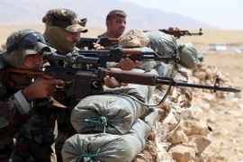 Chính phủ Đức đã "rất đắn đo" việc vũ trang cho người Kurd