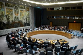 Nga đệ trình HĐBA nghị quyết dự thảo riêng về vụ máy bay MH17