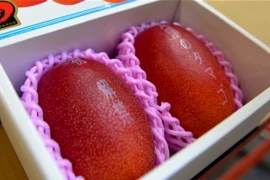 Nhật Bản: Cặp xoài được bán với giá kỷ lục 3000 USD