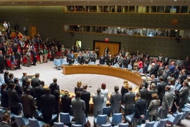 Hội đồng Bảo an hoàn tất dự thảo nghị quyết vụ rơi máy bay MH17