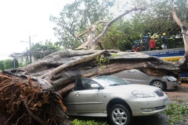 [Photo] Bão Rammasun gây ảnh hưởng nặng nề ở Philippines