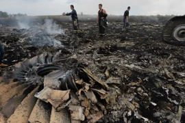 [Infographics] Thảm họa với chuyến bay MH17 của Malaysia