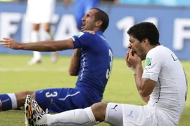 Thắng 500 bảng nhờ đặt cược Luis Suarez cắn ở World Cup
