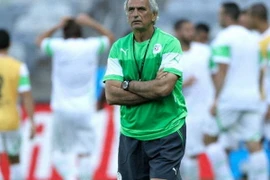 HLV Halilhodzic: Algeria sẽ chuẩn bị tốt khi gặp Hàn Quốc