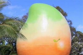 Australia: Quả xoài nặng 10 tấn "không cánh mà bay"