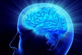 Gen mang yếu tố quyết định khả năng ghi nhớ của con người