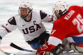 Paralympics Sochi 2014 lập kỷ lục về doanh số bán vé