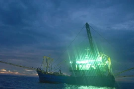 (Ảnh minh họa: Quang Quyết/TTXVN)