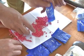 (Ảnh minh họa: Trịnh Duy Hưng/TTXVN)