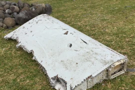 Mảnh vỡ máy bay được xác nhận của MH370 được tìm thấy trên đảo Reunion ngày 29/7. (Nguồn: THX/TTXVN)