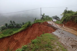 (Ảnh minh họa: Quân Trang/TTXVN)