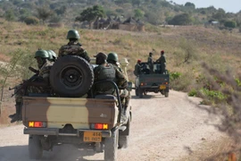 Binh sỹ Cameroon tuần tra gần làng Mabass ngày 16/2. (Nguồn: AFP/TTXVN)