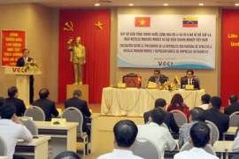 Quang cảnh buổi gặp gỡ. (Ảnh: Tuấn Anh/TTXVN)