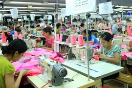 (Ảnh minh họa: Hoàng Hùng/TTXVN)