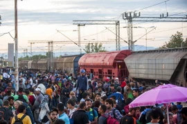 Người di cư tại nhà ga tàu hỏa ở thị trấn Gevgelija, Macedonia ngày 22/8. (Nguồn: AFP/TTXVN)