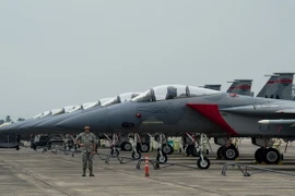 Máy bay chiến đấu F-15C của quân đội Mỹ tham gia một cuộc tập trận. (Nguồn: AFP/TTXVN)