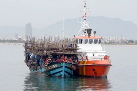 (Ảnh minh họa: Trần Lê Lâm/TTXVN)