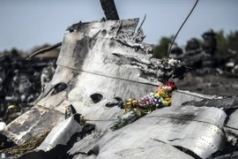 Xác máy bay MH17 gần làng Grabove, vùng Donetsk, miền Đông Ukraine ngày 26/7/2014. (Nguồn: AFP/TTXVN)