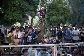 Người nhập cư trái phép chờ đợi được đăng ký bên ngoài một đồn cảnh sát ở đảo Kos, Hy Lạp ngày 10/8. (Nguồn: AFP/TTXVN)