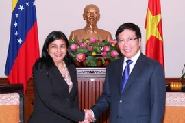 Phó Thủ tướng, Bộ trưởng Ngoại giao Phạm Bình Minh tiếp bà Delcy Rodríguez, Bộ trưởng Ngoại giao Cộng hòa Bolivar Venezuela. (Ảnh: Thống Nhất/TTXVN)