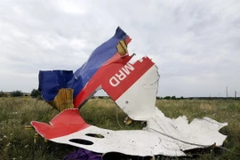 Mảnh vỡ máy bay MH17 ở Shaktarsk,, vùng Donetsk, miền Đông Ukraine ngày 18/7/2014. (Nguồn: AFP/TTXVN)