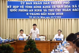Chủ tịch Ủy ban Nhân dân Thành phố Hồ Chí Minh Nguyễn Thành Phong phát biểu kết luận kỳ họp. (Ảnh: Trần Xuân Tình/TTXVN)