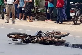 Ảnh chỉ có tính minh họa. (Ảnh: Tuấn Anh/TTXVN)