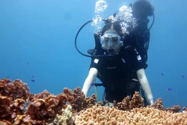 Du khách lặn khám phá cổng Tò Vò dưới nước. (Ảnh: Phước Ngọc/TTXVN)